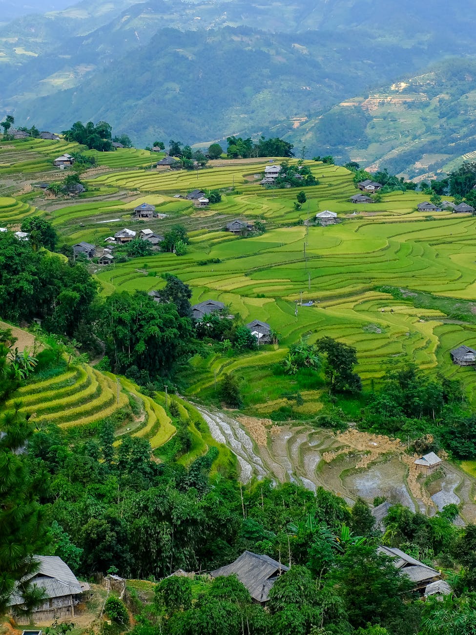 scenic rice terraces in ha giang vietnam