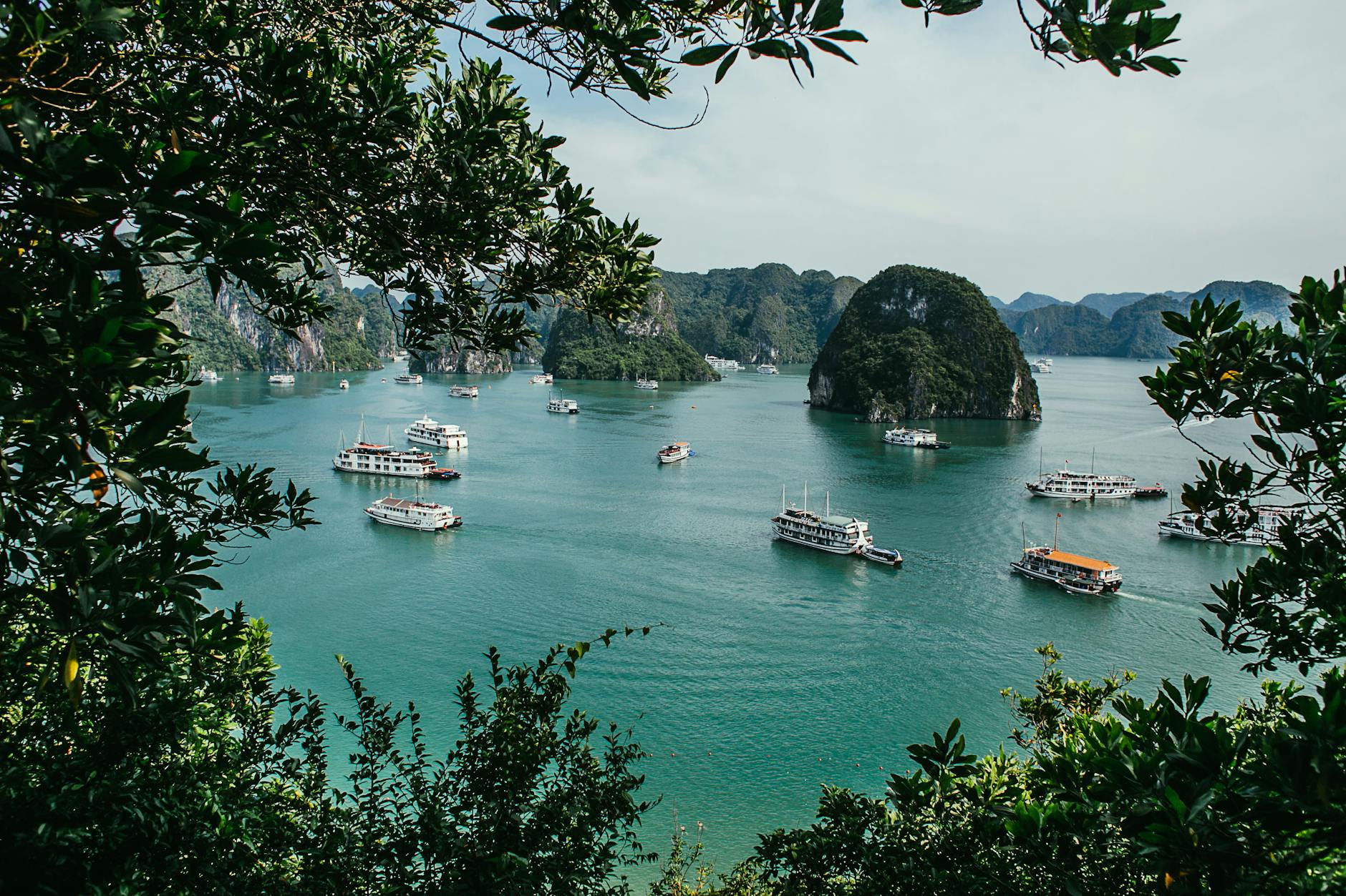 cruise boats in the sea