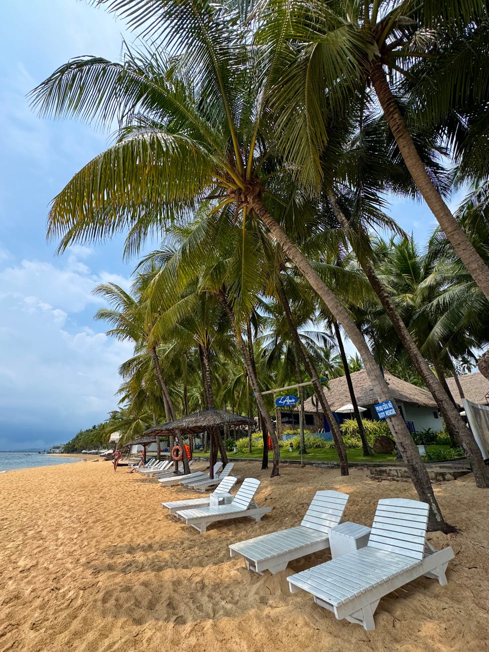 serene beachfront with palm trees in phu quoc