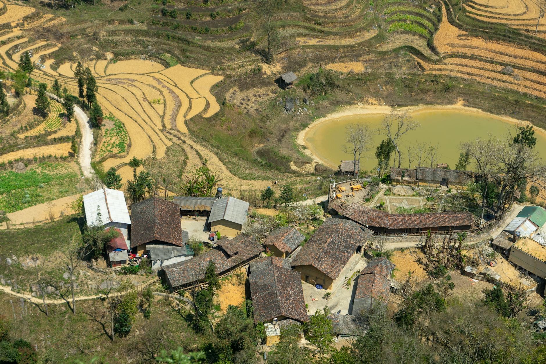aerial view of quaint village amidst rice terraces