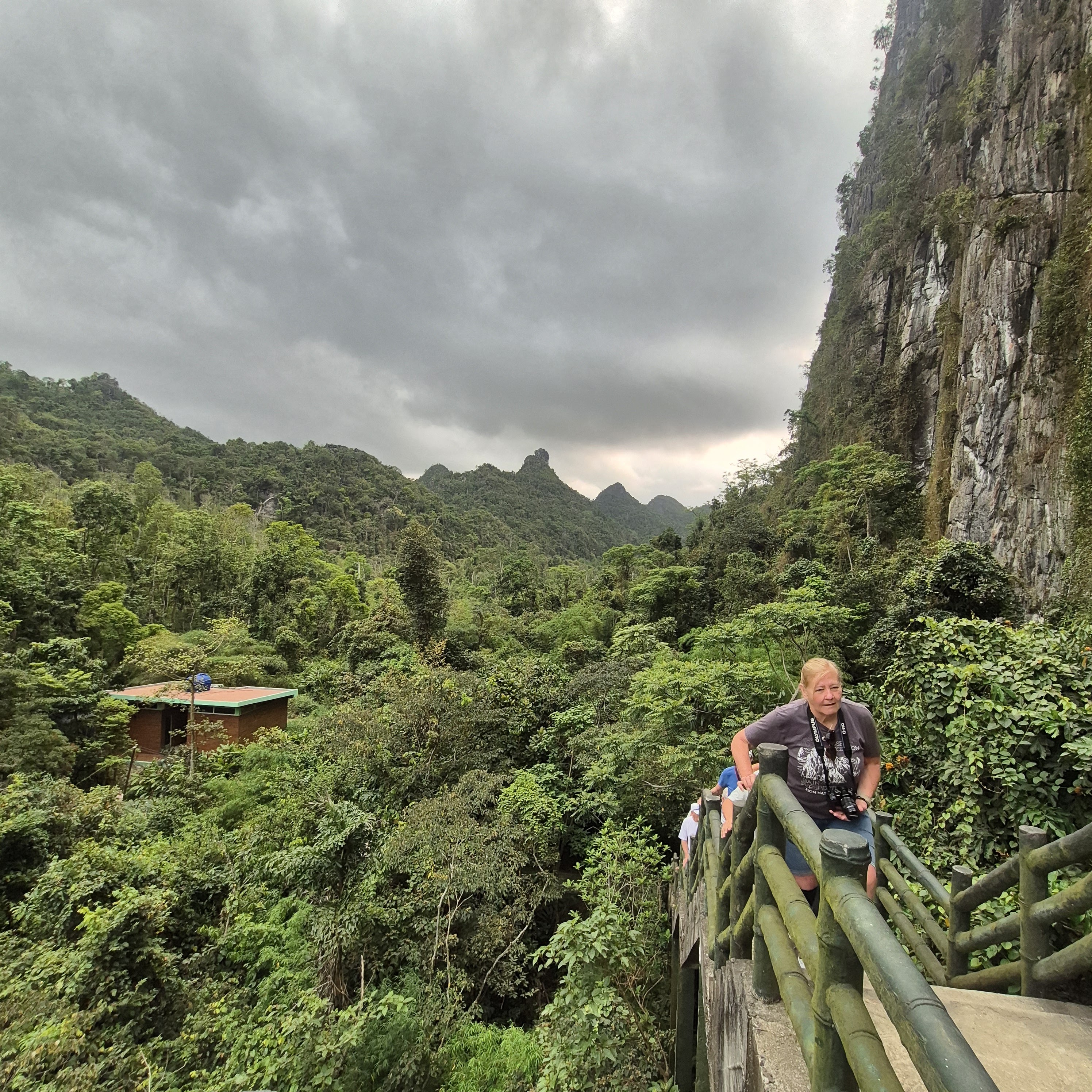 A woman climbs a stairway surrounded by lush green vegetation and hills under a cloudy sky.
